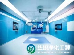 凈化工程公司比較優(yōu)秀專(zhuān)業(yè)的有哪些？